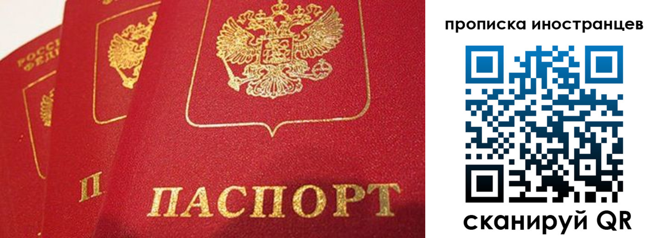 прописка для школы в Одинцово